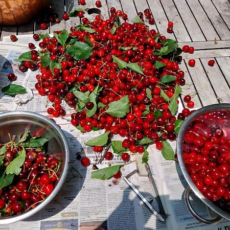 Gite Du Prinas Greolieres Ngoại thất bức ảnh