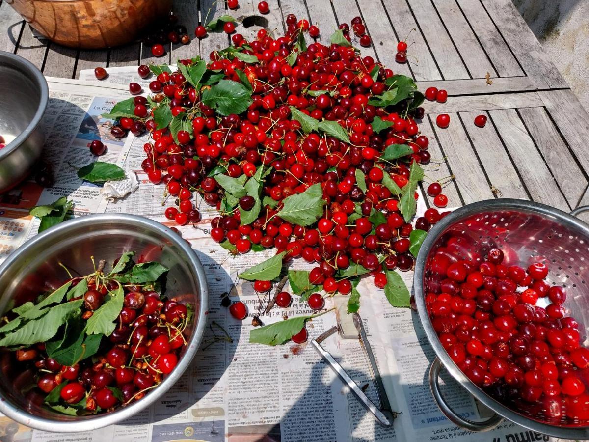 Gite Du Prinas Greolieres Ngoại thất bức ảnh